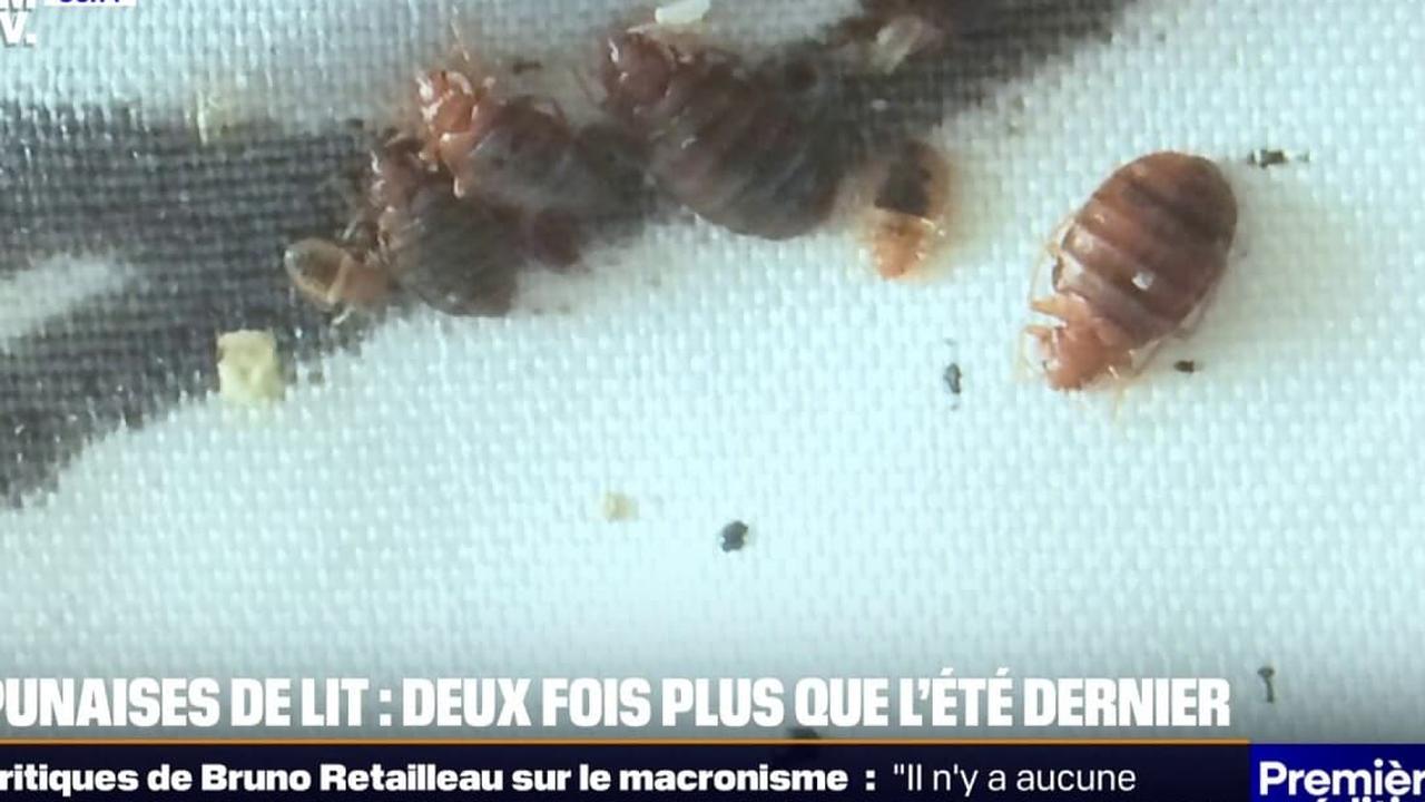 L&rsquo;inquiétante hausse de 50% qui menace vos nuits cet été