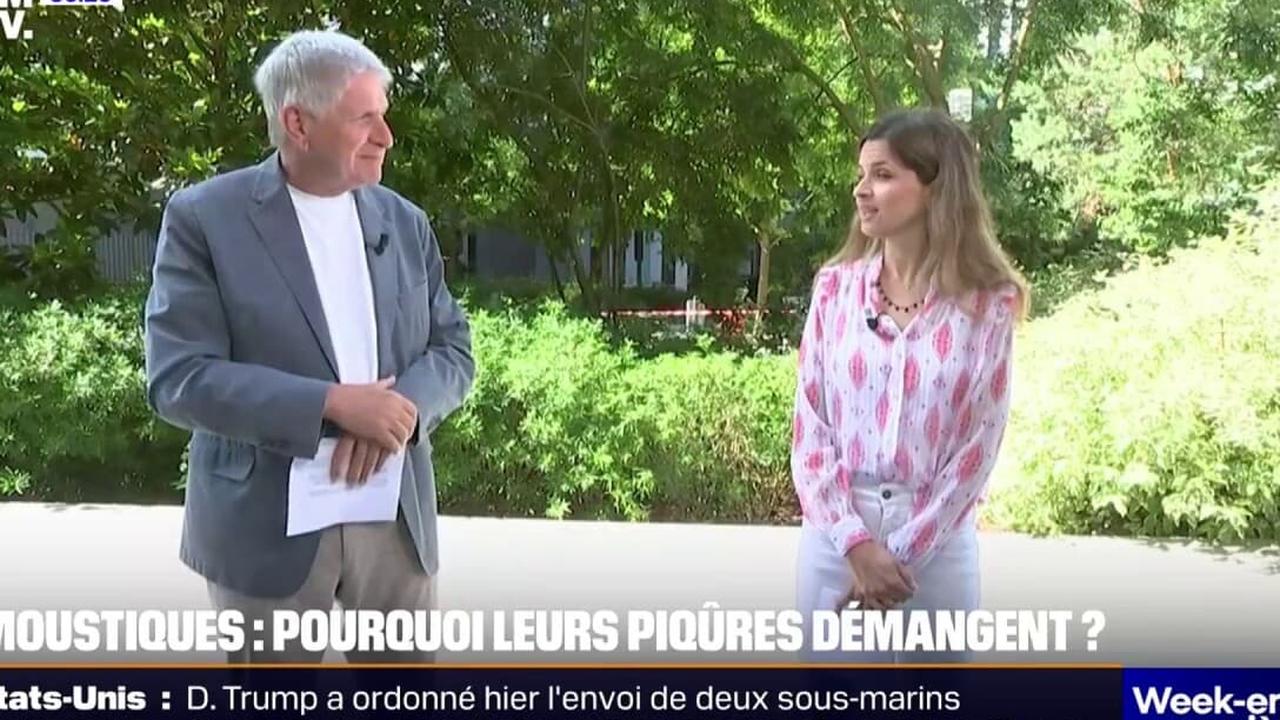 Piqûres de moustiques : le mécanisme surprenant que notre corps déclenche à notre insu