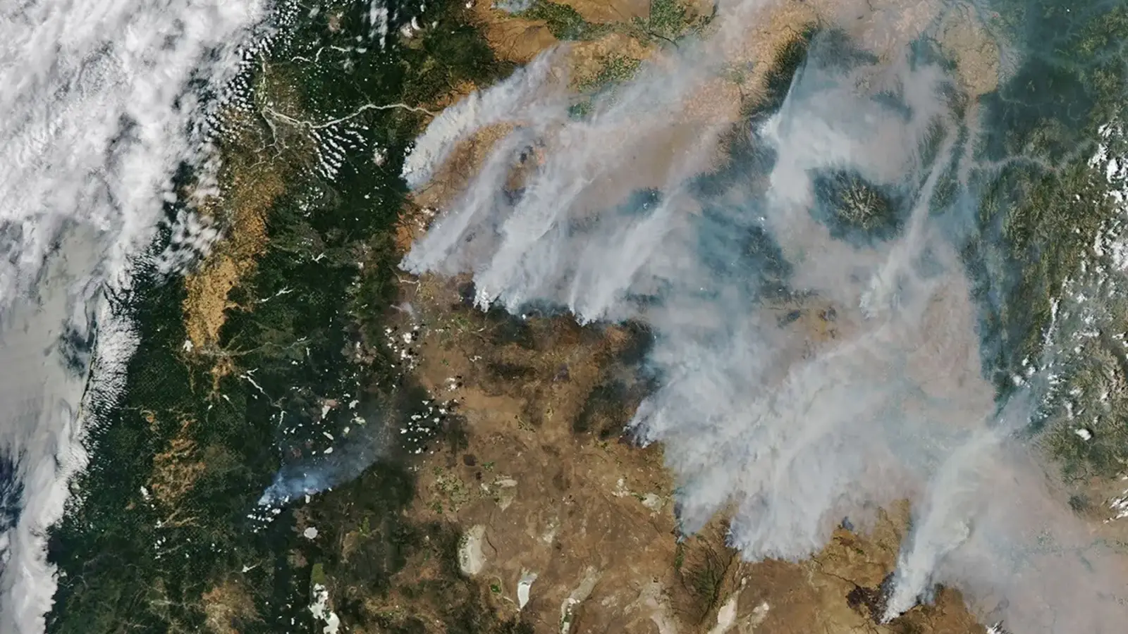 Satellite view of long gray smoke plumes streaming northeast from fires in central and eastern Oregon on July 26, 2026