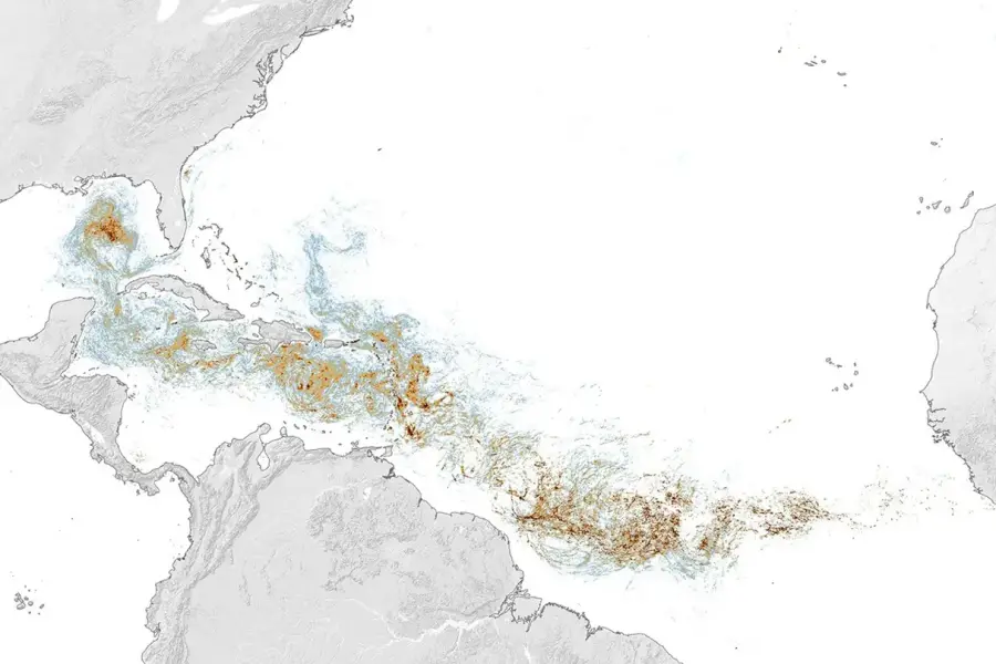 What satellites actually saw in the Atlantic’s near-record Sargassum belt