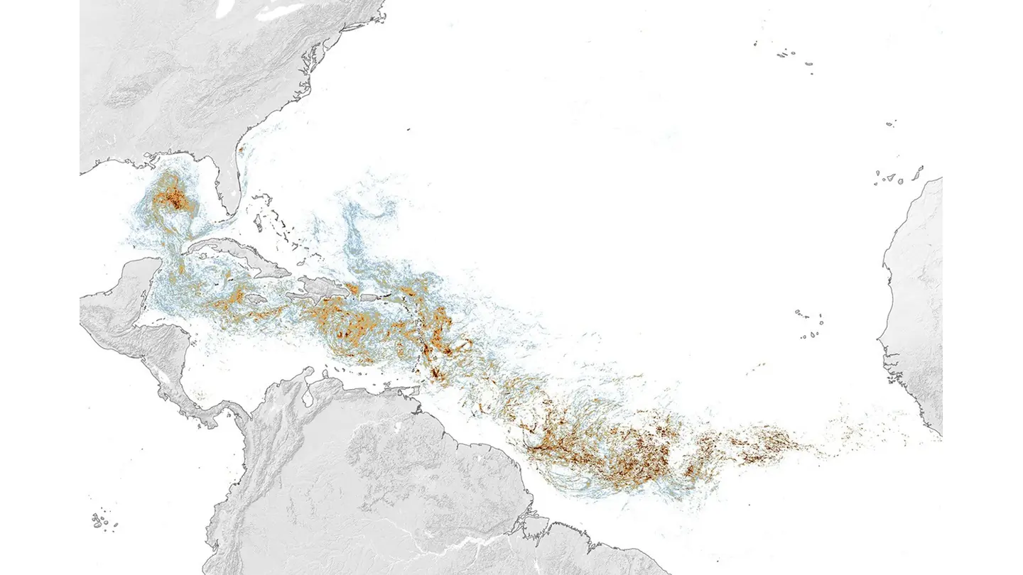 Satellite-derived map of average Sargassum surface-cover density across the tropical Atlantic in June 2026
