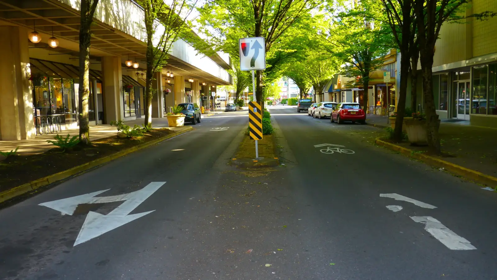 A tree-lined section of Willamette Street in downtown Eugene with cycle markings, parked cars and a central traffic island